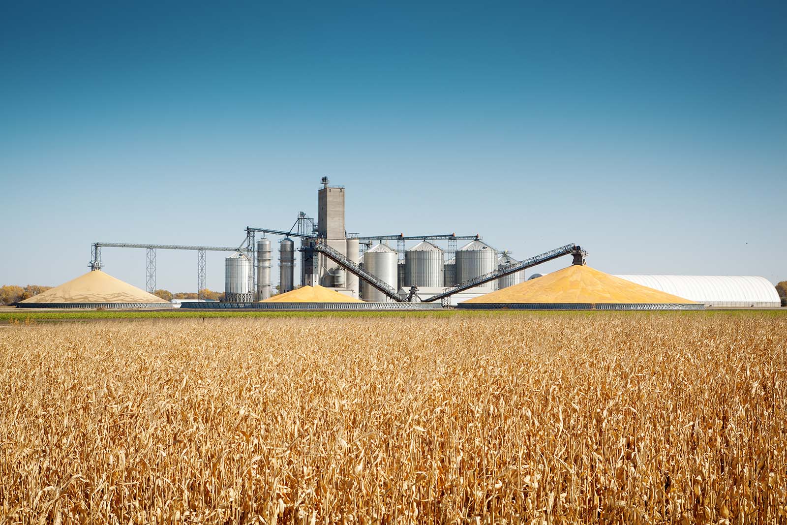 Agriculture Grain Facility